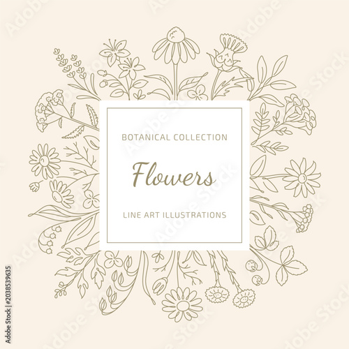 Botanical Line Art Flowers Frame with Elegant Wildflower Collection