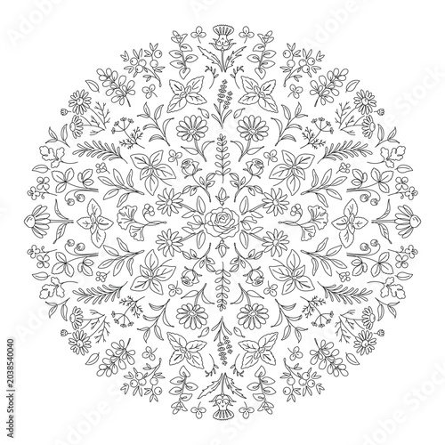 Botanical Mandala Line Art Pattern with Herbs and Flowers