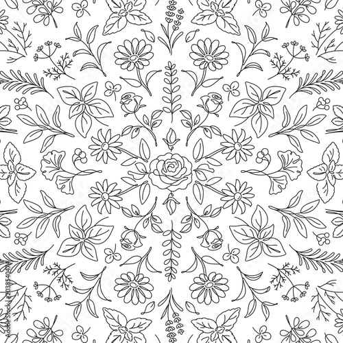 Botanical Floral Herbal Line Art Seamless Pattern