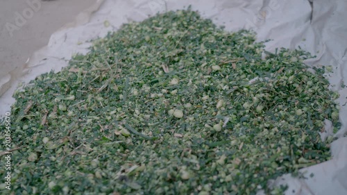 Chopped green fodder dries on white cloth at a traditional Punjab farm