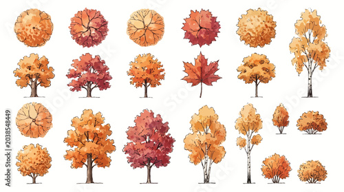 Collection of autumn tree sketches and top-down view architectural plan symbols in warm watercolor tones on white background, illustrating landscape architecture design and seasonal nature projects