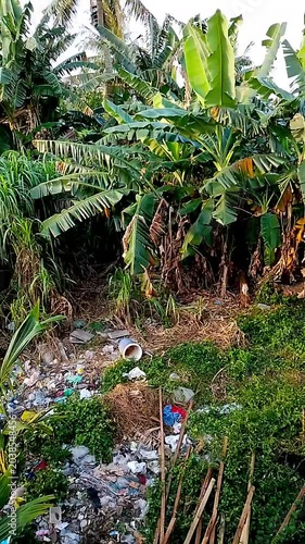 waterfall in the jungle