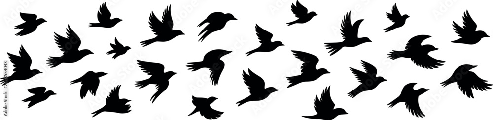 Fototapeta premium Flock of flying birds black silhouettes vector collection featuring migrating swallows and sparrows isolated on white background