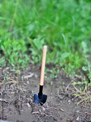 Miniature gardening tools being used to scoop dirt and plants.