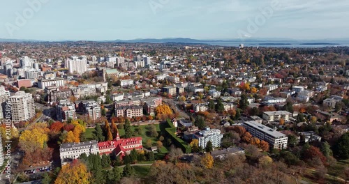 Aerial shot of Beacon Hill park in Victoria Canada BC. Wildlife trees, colorful leaves and water fountain, bridge and pond with beautiful weather walk in the city center