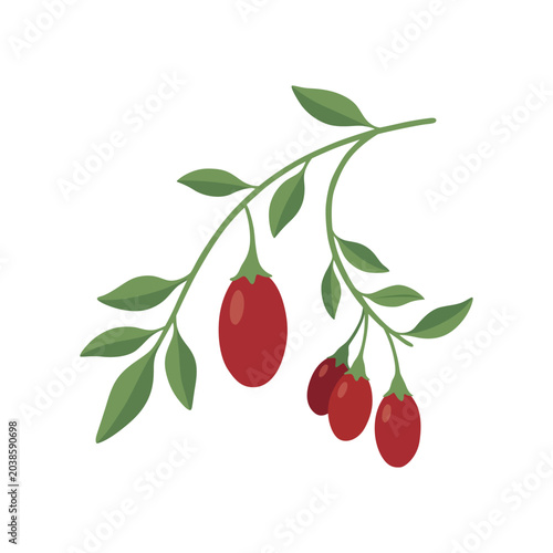 Cuadro en lienzo Flat Vector Illustration of Fresh Goji Berries Hanging on a Branch with Green Leaves, Isolated on a Clean White Background
