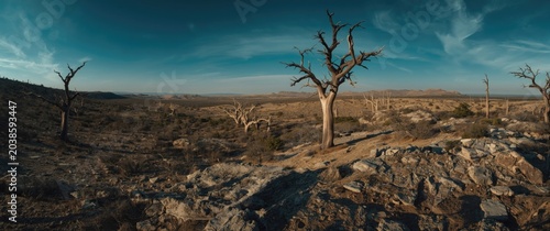 Elevated vantage point highlighting a dry terrain with scattered trees and sparse vegetation