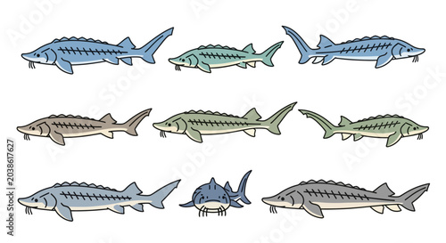 Billede på lærred Cartoon illustrations of various sturgeon fish in different colors and poses