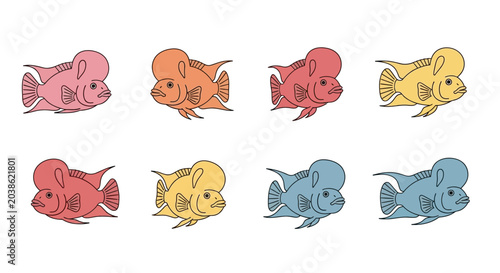 Quadro su tela Colorful flowerhorn cichlid fish vector illustrations on white background