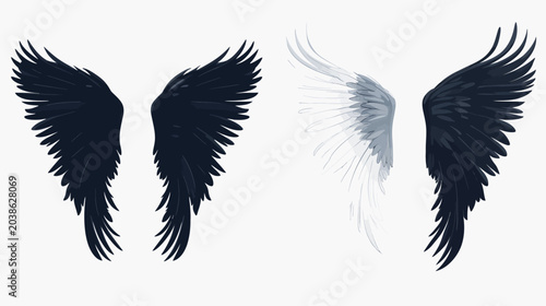 Digitally rendered illustration showcasing two pairs of stylized bird wings, one dark and one light
