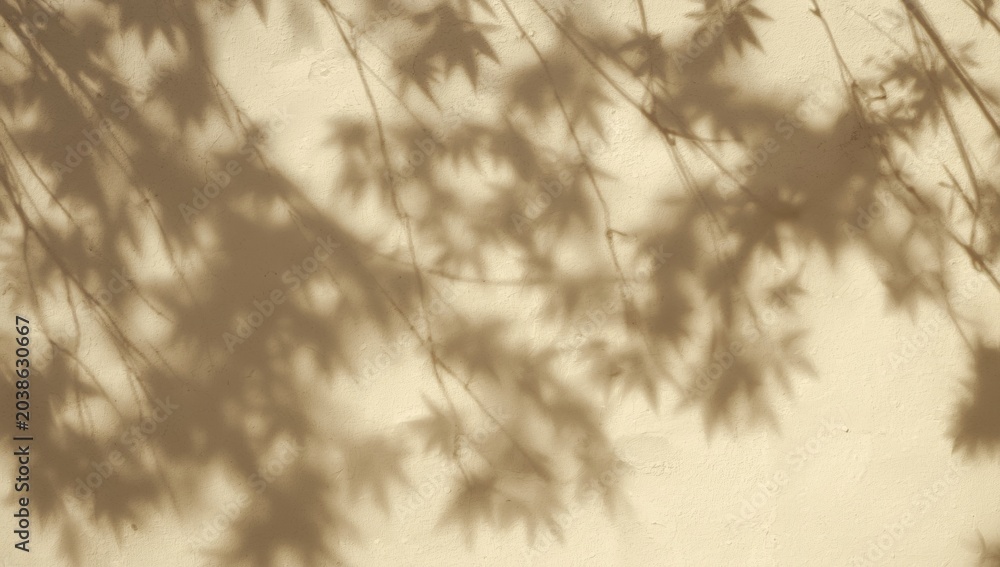 Fototapeta premium Diagonal shadows from tree leaves on beige wall creating textured abstract background with copy space