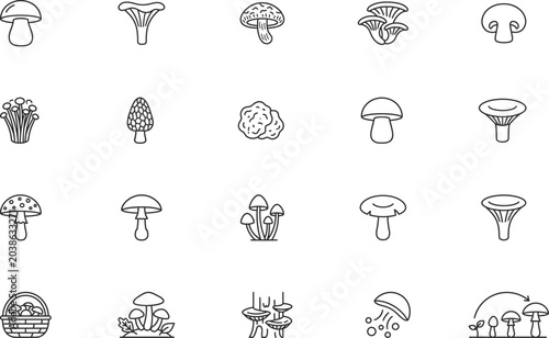 Φωτογραφία Assorted mushrooms and fungi illustrations with mushrooms