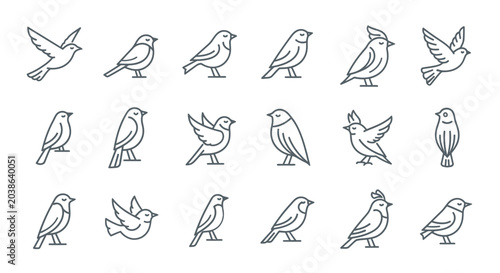 Photos Line art bird collection various poses depicting flight and stillness
