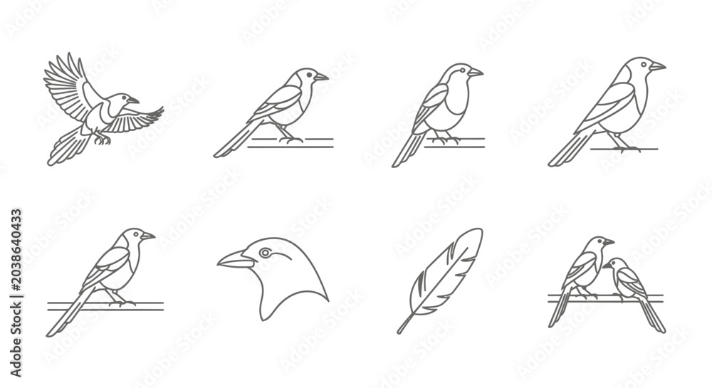 Fototapeta premium Line art bird collection diverse poses depicting flight and perch actions