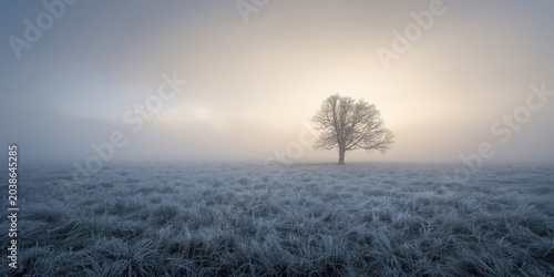 Frosted winter grass plains...