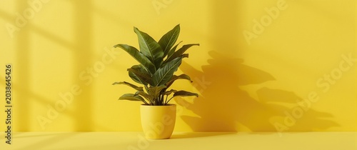Fiddle leaf fig greenery in...