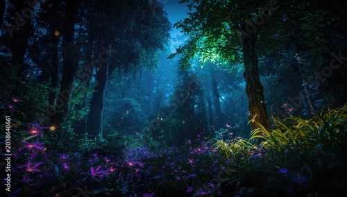 Enchanted night forest with...