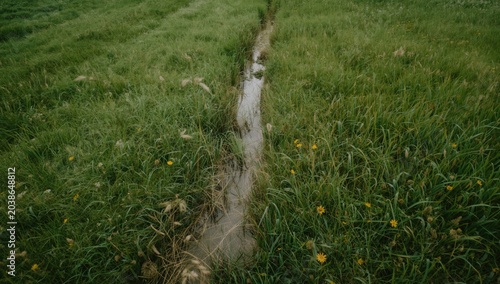 Green meadow expanse with a...