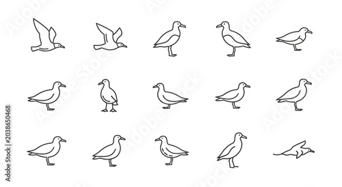 Outlined illustrations of seagulls in various poses for design and graphics