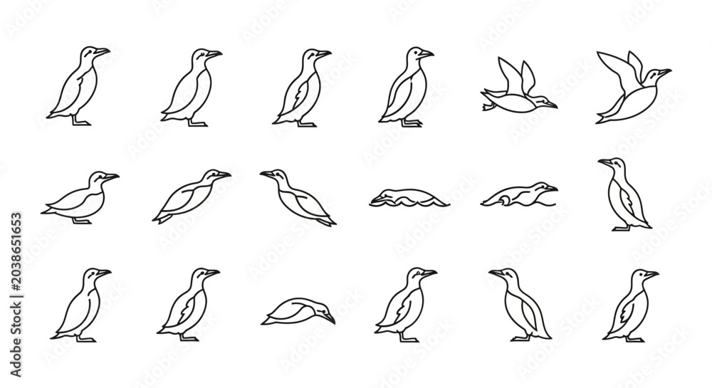 Obraz premium Graphic illustration of diverse penguin postures and activities in vector form