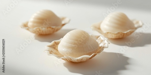 Close up of raw scallops di...