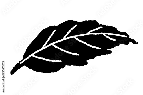 Foto Monochrome Peppermint Leaf Isolated Vector