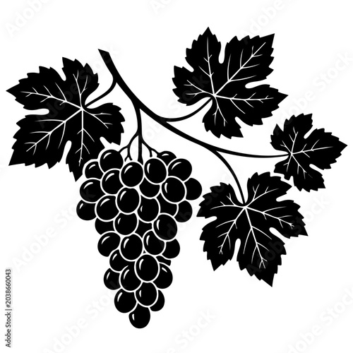 Canvastavla Bunch of grapes with leaves, silhouette grapevine