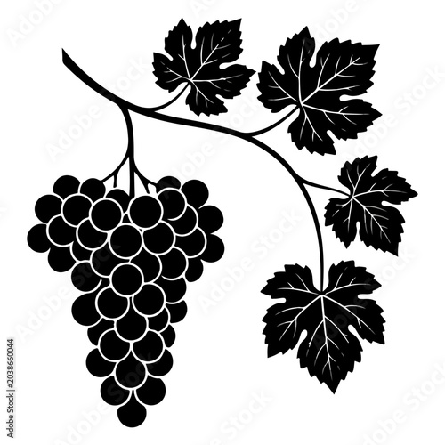 Canvas-taulu Bunch of grapes on a vine with leaves grapevine