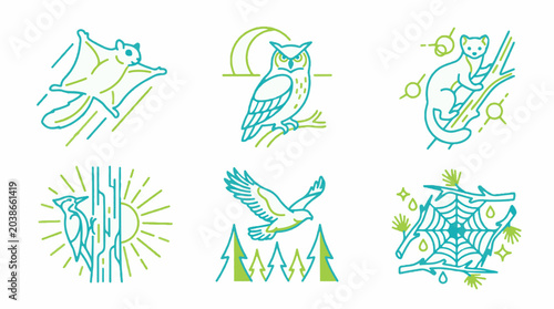 Set of six forest animal and nature icons in a minimalist linear vector style featuring a flying squirrel owl marten woodpecker eagle and spiderweb