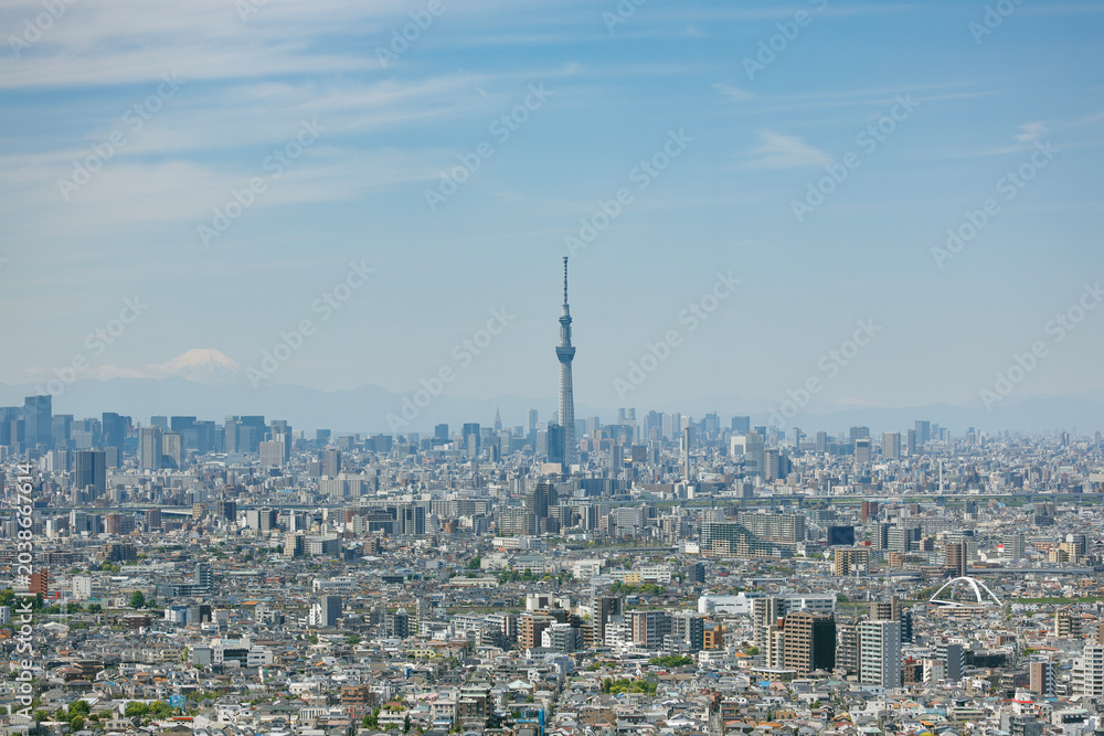 Obraz premium 千葉県市川市から見た東京都心の風景