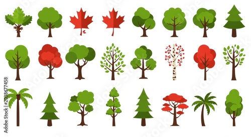Variety of trees and leaves.