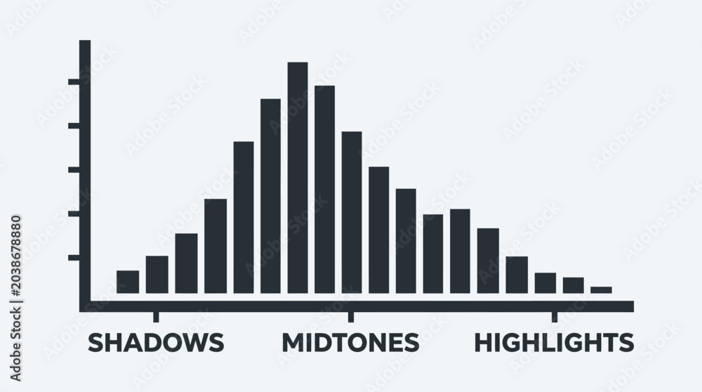 Fototapeta premium Histogram Graph Illustrating Shadows Midtones and Highlights for Analysis.