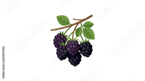 Obraz na płótnie Fresh Ripe Blackberries Hanging on a Branch with Green Leaves.
