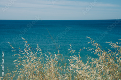 grass and sea