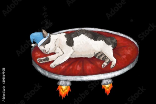 Tableau sur toile Sleeping Cat on Flying Rocket Cushion Illustration