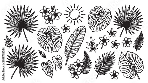 Bild auf Leinwand Tropical leaf, palm, and flower icons, black line art illustrations, 25 elements