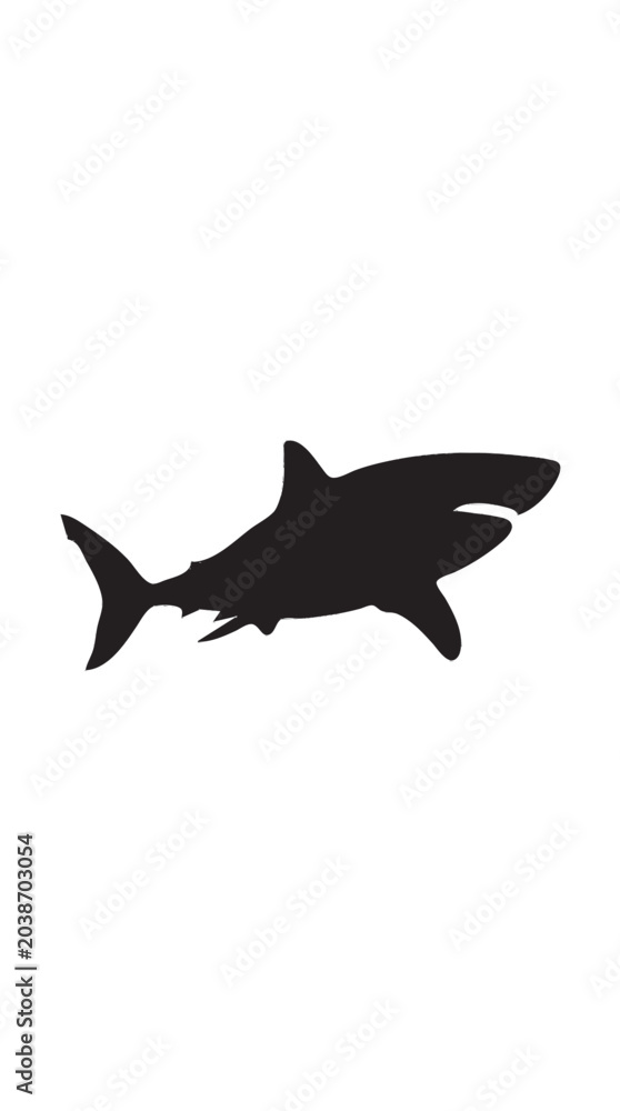 Fototapeta premium shark vector illustration