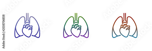 Colorful gradient outline icons of human heart and lungs