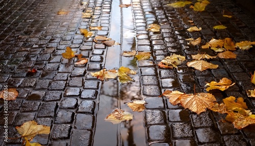 Rainwater Flows Over Cobblestone Street With Fallen Leaves Scattered
