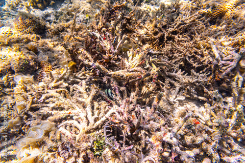 Photos Environmental Damage - Global warming, ocean acidification and human impact are