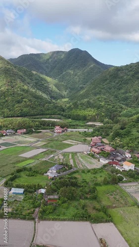Vertical aerial View of Onion Fields and Rural Farmland in Hagi Yamaguchi Japan, Agricultural Landscape 01