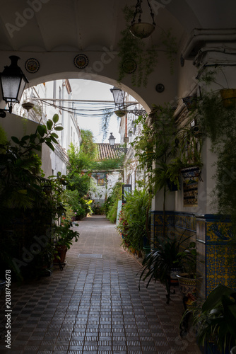 Vibrant interior corridor view of a traditional Sevillian courtyard in Triana with ceramic plates and lush plants