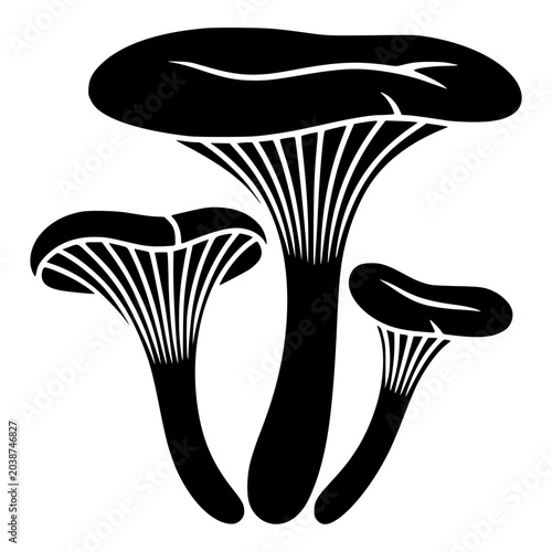 Bild auf Leinwand Chanterelle Mushroom Cluster with Gills Silhouette for Food and Foraging Designs