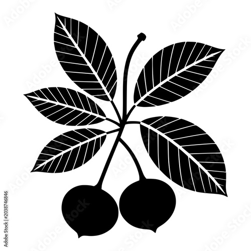 Bild auf Leinwand Chestnut with Leaves and Nuts Silhouette for Autumn and Fall Designs