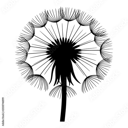 Foto Dandelion Puffball Seed Head Silhouette for Wishful and Nature Designs