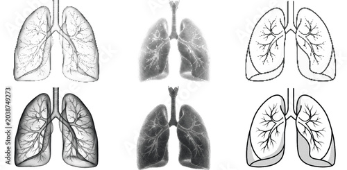 Foto Human lungs anatomy halftone vector illustration set, dithered retro style respiratory system graphics