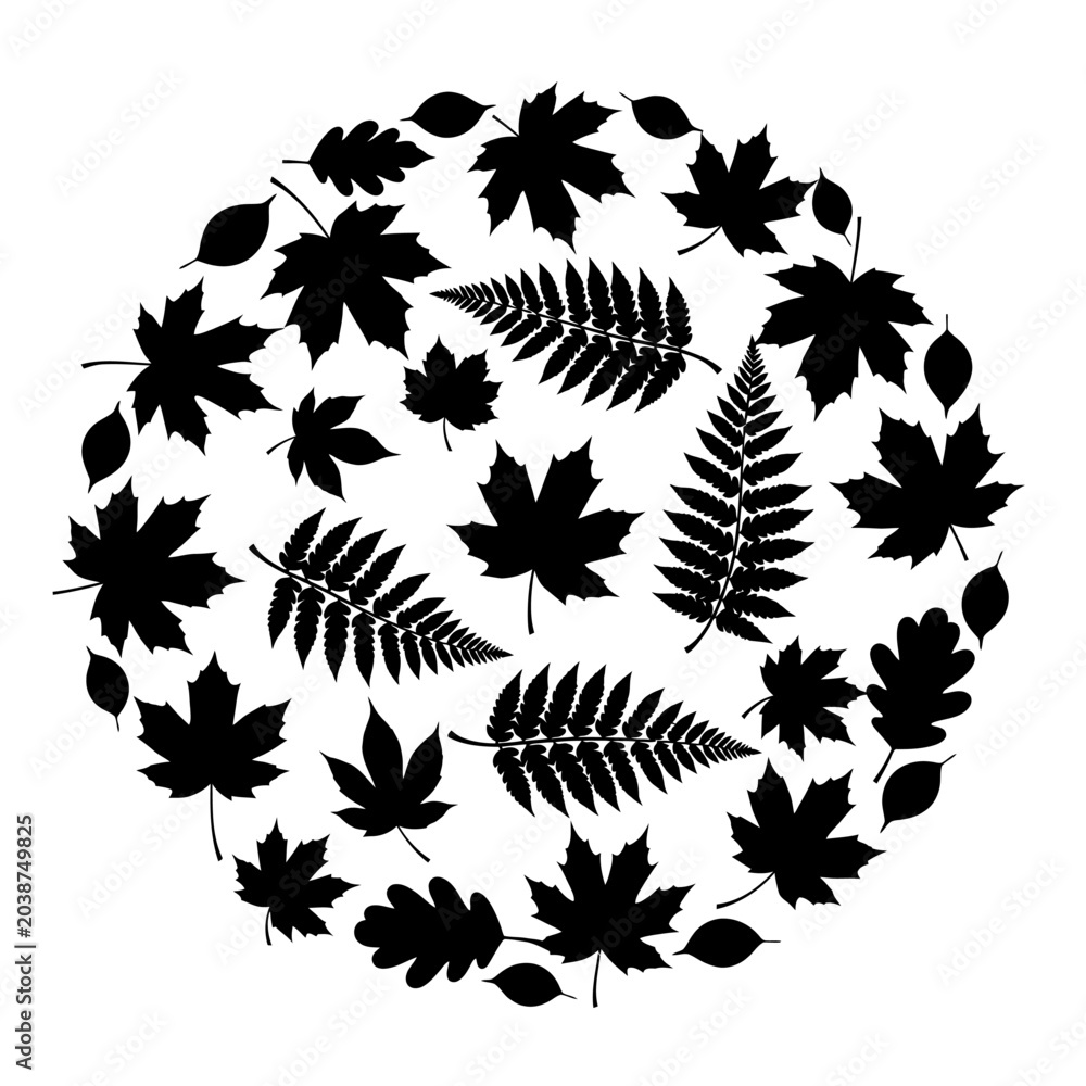 Fototapeta premium Black and white leaf silhouettes arranged in a circular decorative pattern