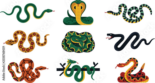 Fotografi Snake Illustration Collection Featuring Cobras, Pythons, Vipers, and Colorful Re