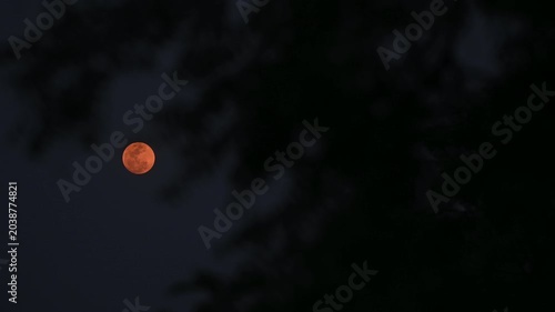The 2026 Pink April's full moon, the first full moon of spring, is appearing as a 