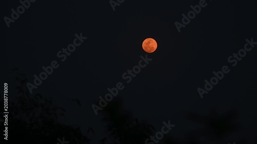 The 2026 Pink April's full moon, the first full moon of spring, is appearing as a 